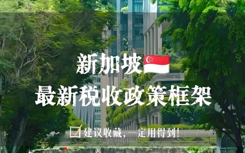 新加坡税务与股权架构全解析：最新税率、申报政策及五大节税结构设计指南