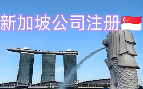 新加坡开公司必看：Pte Ltd/LLP/LP等6种注册类型详解与选择建议