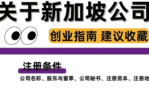 新加坡公司注册条件与流程全面指南（2025最新版）
