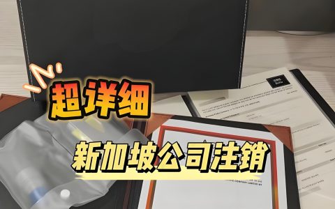 新加坡公司注销全攻略：不需要了如何合法处理？2025最新指南