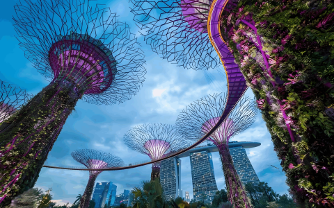 中企出海：香港与新加坡税务差异及跨境资金合规进出策略指南