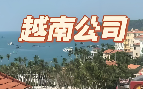 2025越南增值税与特别消费税重大更新：跨境卖家必须读懂的政策变化与应对策略