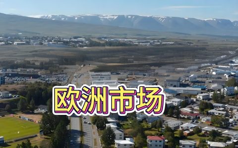 集运欧线期货上涨3%，中国卖家如何抢占欧洲市场新红利？