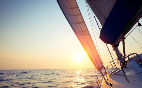 独立开发者注册美国公司指南：税务、成本与替代方案解析 | 跨境出海战略