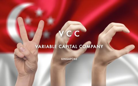 新加坡VCC架构全指南：国际投资者布局东南亚的核心工具