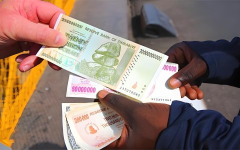 快速开户！津巴布韦First Capital Bank开户全攻略：美元账户与津元账户办理流程