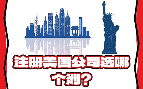 2025怀俄明州LLC vs 特拉华州LLC全面对比：费用、税务、隐私及投资优势详解