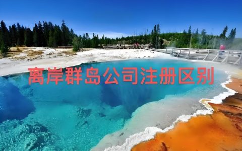 离岸注册怎么选？2025年BVI与塞舌尔最新政策与应用场景详解
