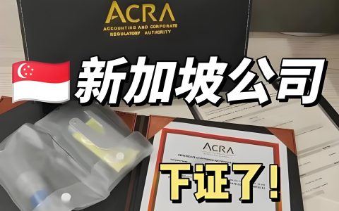 2025年新加坡公司注册与出海指南：政策优势+税收优惠全解析
