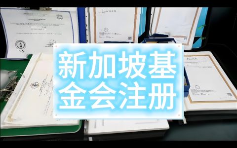 2025年新加坡基金会注册全指南：流程、优势与合规要点