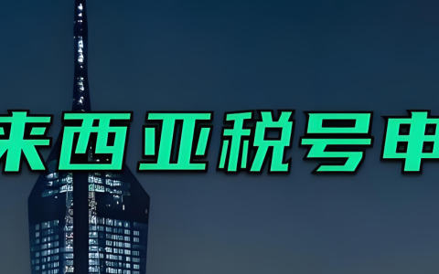 都在悄悄办马来西亚税号？高净值人群真正看中的，其实是这几件事