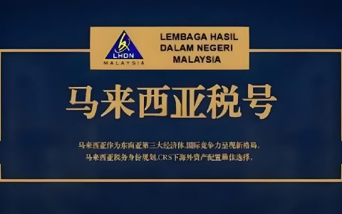 马来西亚税号解析：海外资产税务优化，合规与风险规避