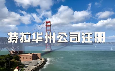 为什么90%大卖选择特拉华州？美国公司注册选州避坑指南