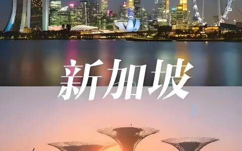 新加坡公司注册与架构搭建全指南｜税务规划、开户实操、合规路线图