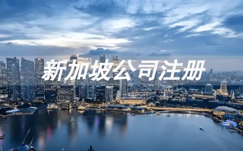 2025新加坡公司全球化战略：架构搭建、税务优化与全球业务布局权威指南