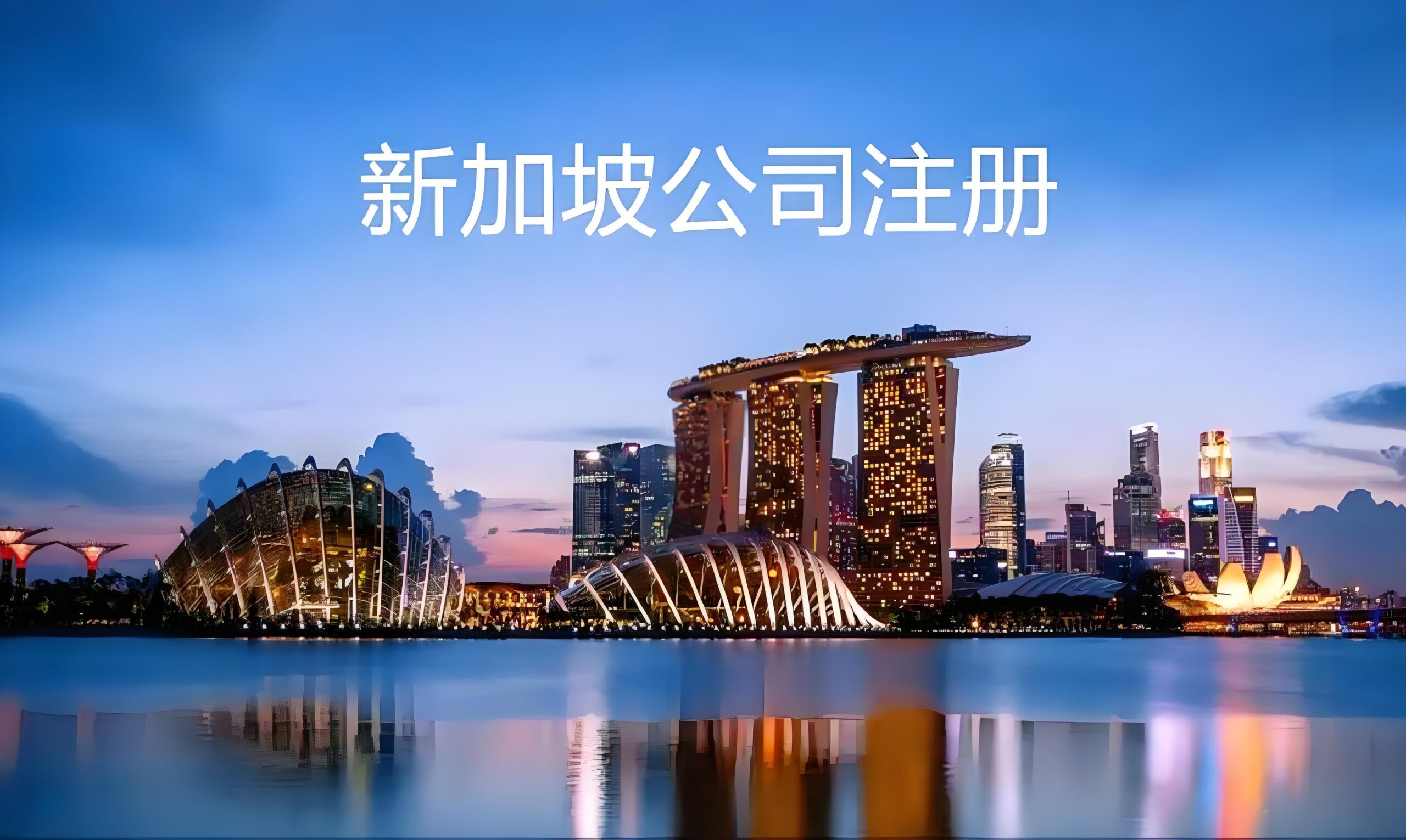 新加坡公司注册有哪些类型？6种公司架构+适用场景+优缺点——如何选？