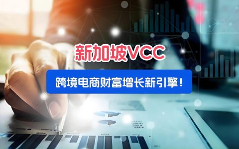 新加坡VCC全解析：从设立到合规，跨境资本布局的实用指南
