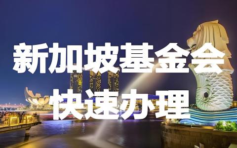 新加坡基金会注册全指南：流程、优势与合规要求