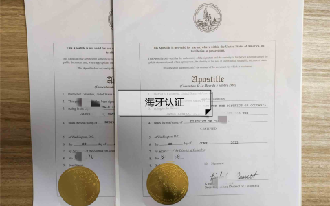 2025年海牙认证办理指南：地点、流程、材料及最新政策全解析