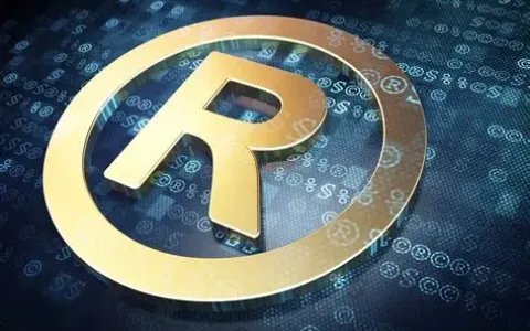 2025商标注册主体选择指南：个人与公司名义的利弊分析及政策解读