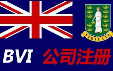 2025年BVI公司股东结构查询全指南：新规解读、合规要点与实操方法