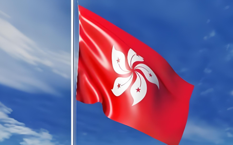 注册新香港公司 vs 购买现成空壳公司：为了省一周时间，你愿意承担多少风险？