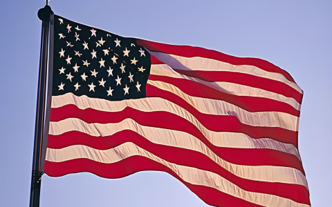 中国人注册美国公司：为什么更推荐 C-Corp（INC）而非 LLC？