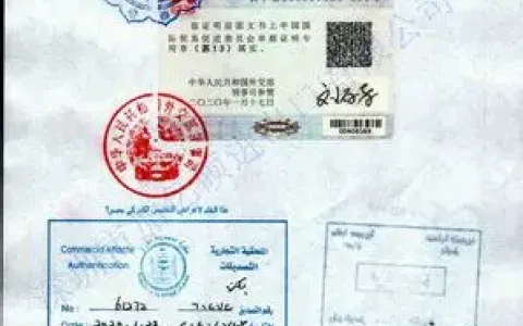 2025年玻利维亚使馆认证最新指南：流程、费用、时间及公约政策