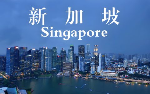 新加坡公司全球化攻略2025：架构搭建、税收优化与全球业务布局指南