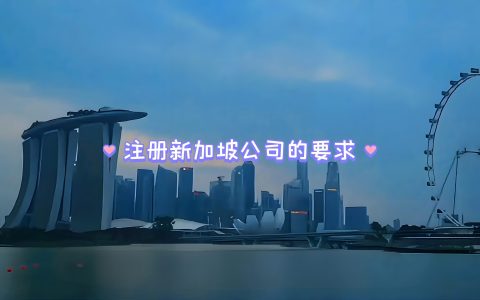 跨境电商卖家注册新加坡公司全攻略：解锁Lazada/Shopee平台福利