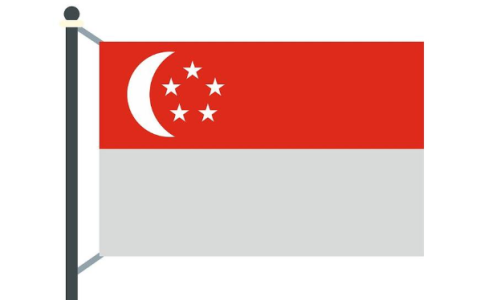 跨境电商卖家注册新加坡公司全攻略：解锁Lazada与Shopee平台福利