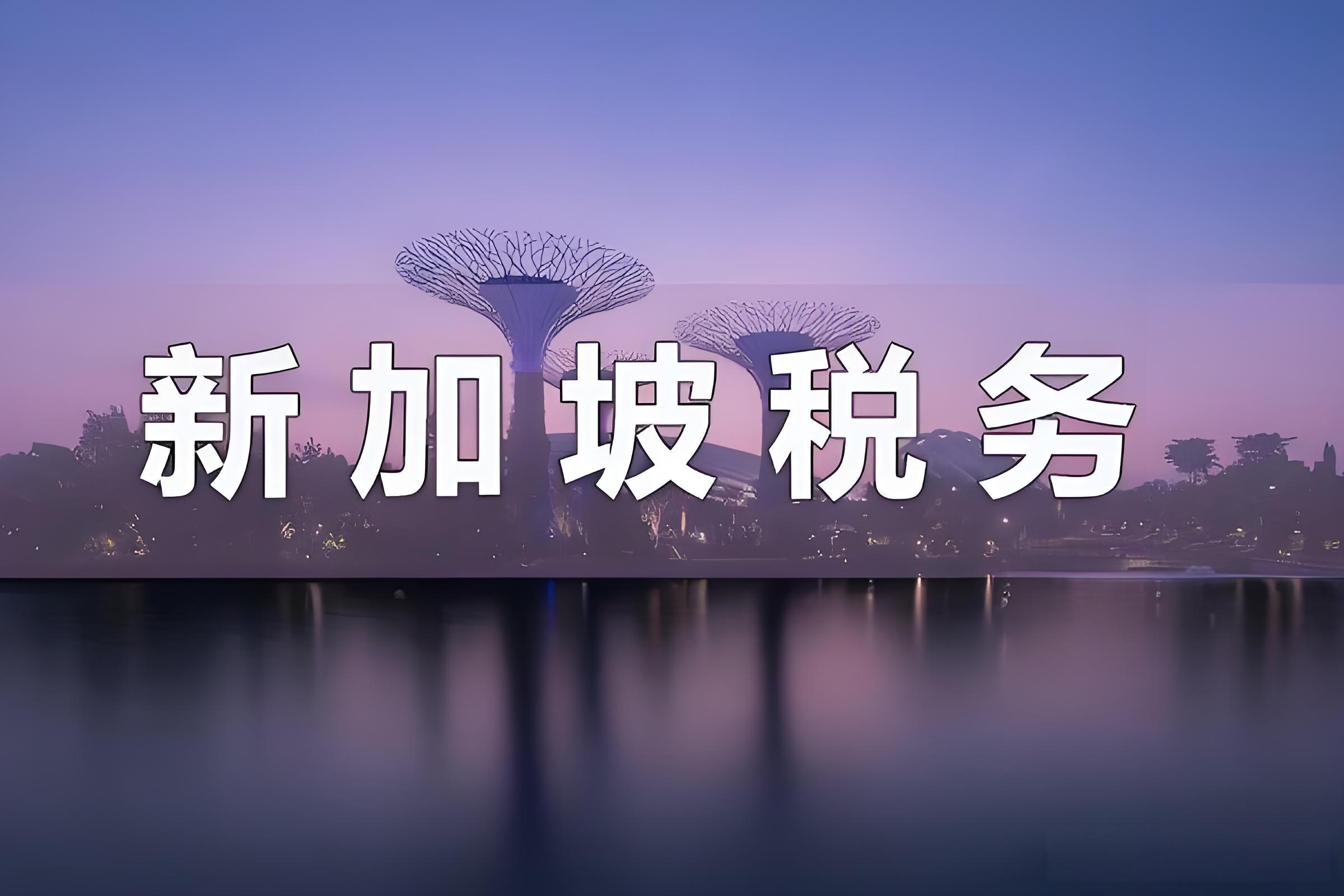 2025新加坡公司税务申报全指南：时间节点、税种政策与合规流程| 新加坡IRAS最新政策- ingstart-全球公司成立与合规