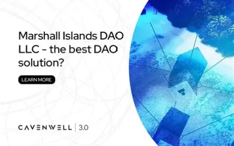 美国首个承认DAO LLC的州：怀俄明州正式开放注册，中国卖家如何抓住新机遇？