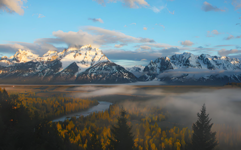 注册美国公司别只盯特拉华！2025年各州政策巨变，这样选省心又省钱