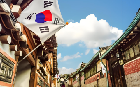 株式会社 vs 有限会社：中国人去韩国做生意，到底该注册哪种？（2026最新指南）