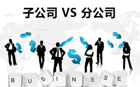 美国分公司VS子公司：中国卖家出海战略选择全解析（2025最新版）