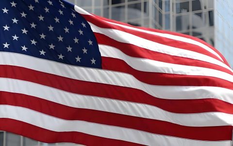 在美国设立分公司还是子公司？跨国企业的战略与合规选择