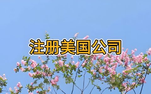 SaaS出海第一站：注册美国公司解决跨境支付、数据隐私与客户信任难题