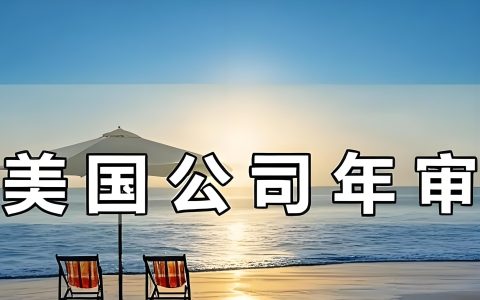 2025年美国C型公司年审全面指南：流程、费用、截止日期与常见问题解析