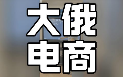 2025年俄罗斯电商市场报告：食品电商增长32%，电子产品下滑5% | 全渠道零售占比达22%