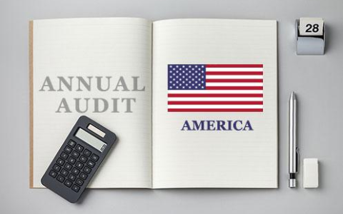 2025美国公司年审合规终极指南：中国卖家避坑策略与市场机遇