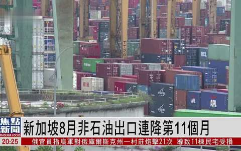 新加坡出口暴跌11.3%！中国卖家如何借RCEP与数字贸易破局？