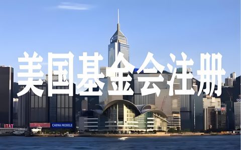 2025年美国基金会设立与运营全指南：类型、流程、免税资格及国际对比