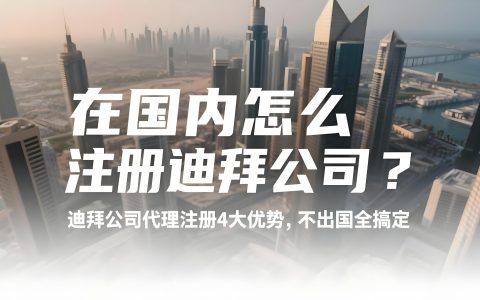 2025年迪拜税务新规解析：公司注册选择、税务优化与资产保护策略