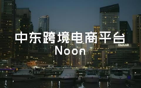 Noon IPO战略分析：中东电商巨头的自动驾驶物流与印度市场扩张（中东电商市场洞察）