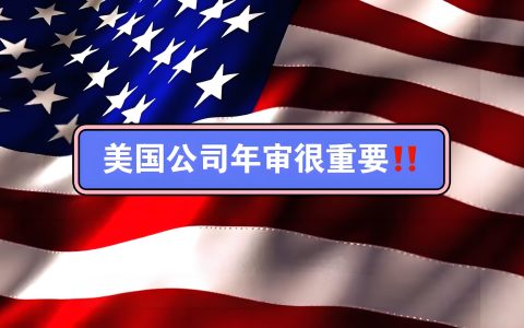 2025年美国公司年审维护避坑指南：五大常见陷阱与系统性应对策略