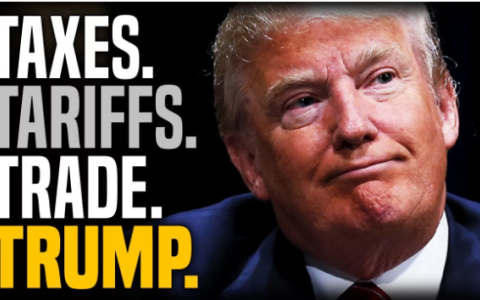 2025美欧关税风暴下的欧洲市场机遇：中国卖家的破局之道深度解析（政策、选品、供应链全攻略）