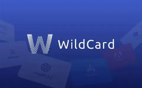 野卡Wild Card回归！不再支持虚拟卡？最新变化+最稳妥的替代方案全解析