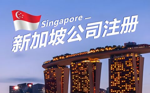 2025年注册新加坡公司全攻略：步骤、税务与合规指南