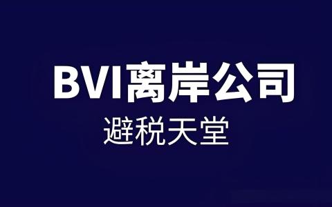 英属维尔京群岛 vs 开曼群岛：2025离岸公司注册终极选择指南
